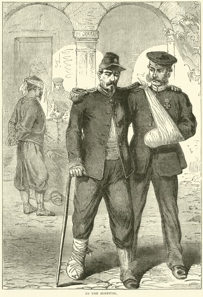 Sairaalassa marraskuussa 1870 tekijältä English School