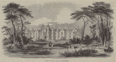 Infant Orphan Asylum, Snaresbrook (kaiverrus) tekijältä English School