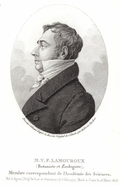 Jean Vincent Felix Lamouroux tekijältä English School