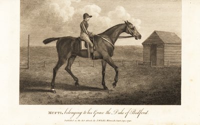 Jockey on kuuluisa täysiverinen kilpailija Mufti, joka kuuluu hänen Graceen Bedfordin herttuaan tekijältä English School