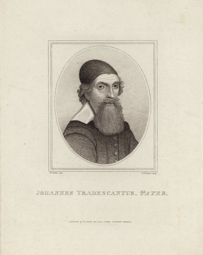 Johannes Tradescantus Pater tekijältä English School