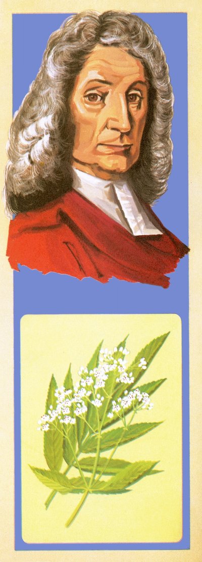 John Ray tekijältä English School