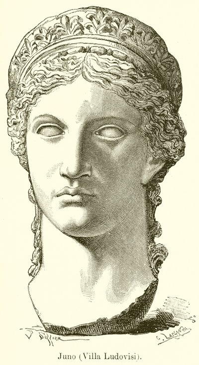 Juno (Villa Ludovisi) tekijältä English School