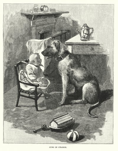 Juno in Charge (kaiverrus) tekijältä English School