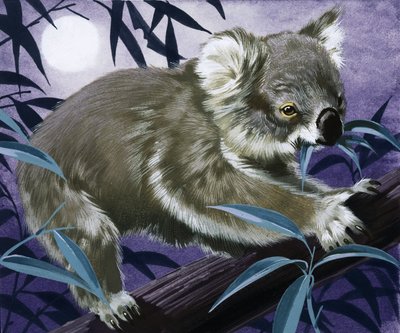 Koala purukumipuussa tekijältä English School