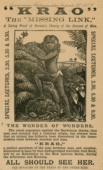 Krao, The Missing Link, esillä Aquariumissa, Westminster, Lontoo, vuonna 1887 tekijältä English School