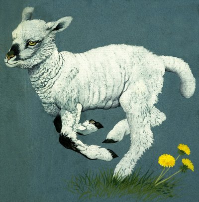 Lammas tekijältä English School