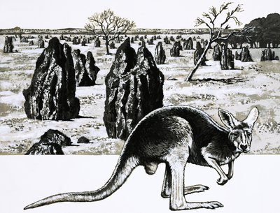 Suuret termiittikumput lähellä Darwinia Australiassa ja kenguru etualalla tekijältä English School