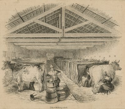 Laycocks Dairy Farm, päivätty heinäkuussa 1841 tekijältä English School