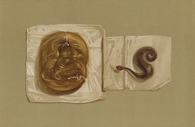 Marian Skotlannin kuningattaren hiuslohko, kuningas Kaarle I:n hiustuki (chromolitho) tekijältä English School
