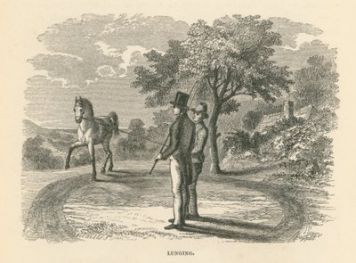 Lunging (kaiverrus) tekijältä English School