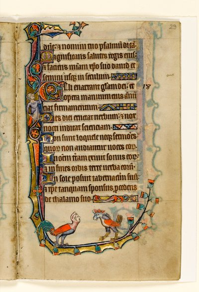 MS 1-2005, fol. 29r: Two Bird like grotesques, marginaalinen koristelu Macclesfield Psalterista, Use of Sarum, East Anglia, n.1330 tekijältä English School
