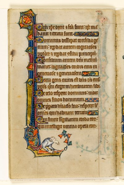 MS 1-2005, fol. 47v: Groteski, marginaalinen koristelu Macclesfield Psalterista, Use of Sarum, East Anglia, n. 1330 tekijältä English School