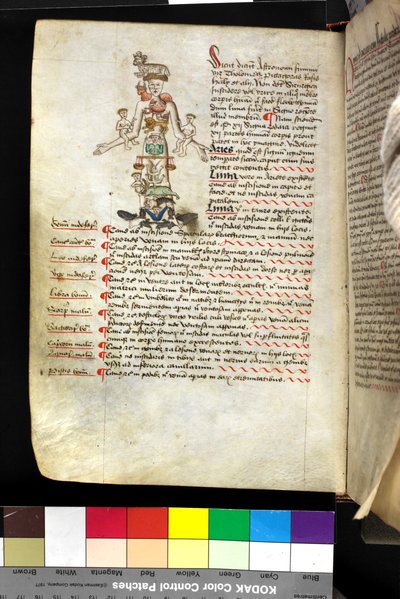 MS Hunter 251 f.47v, kuva "horoskooppimiehestä", n. 1475-1500 (kynä ja muste ja tempera perunakalvolla) tekijältä English School