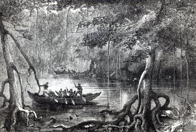 "Mangrove Forest", etuosan kuvitus teoksesta "Twenty Nine Years in the West Indies and Central Africa", kirjoittanut H.M. Waddell, julkaistu Lontoossa 1863 tekijältä English School