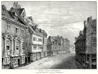 Mardol Street, Shrewsbury (kaiverrus) tekijältä English School