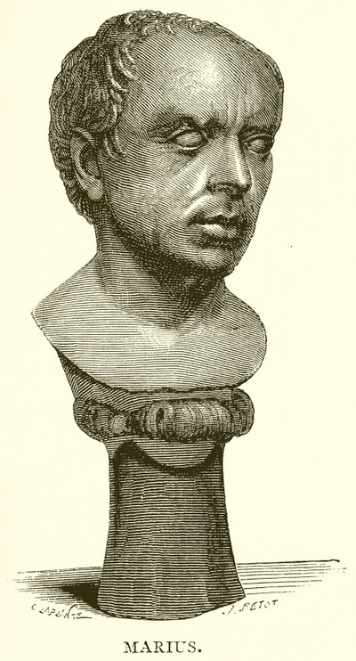 Marius tekijältä English School