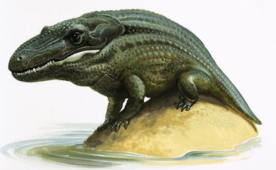 Mastodonsaurus tekijältä English School