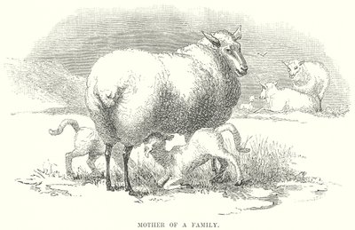 Perheen äiti (kaiverrus) tekijältä English School