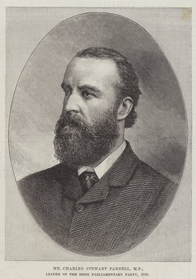 Charles Stewart Parnell, kansanedustaja, Irlannin parlamentaarisen puolueen johtaja tekijältä English School