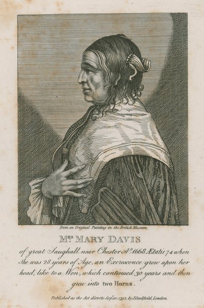 Rouva Mary Davis suuresta Saughallista lähellä Chesteriä, 1668 tekijältä English School