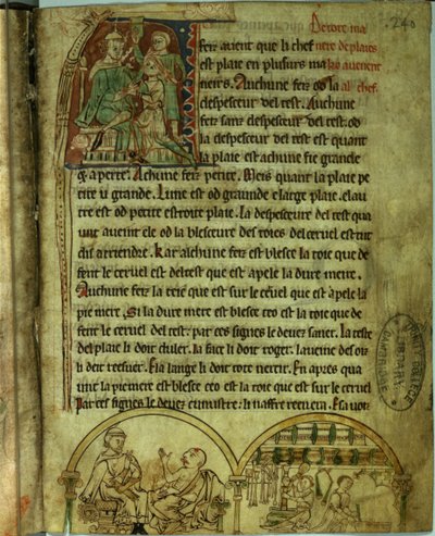 Ms.O.1.20.f.241v Jerome: Potilaan luona vieraileva lääkäri ja apteekki, De Nominibus Herbraicisista (vellum) tekijältä English School
