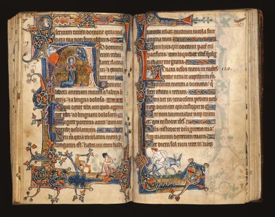 Ms 1-2005, ff.182v-183r: David rukoilee, historiallinen alkukirja Macclesfield Psalterista, Use of Sarum, East Anglia, n. 1330 tekijältä English School