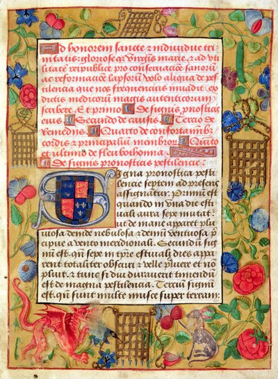 Ms 261 fol.1r sivu latina- ja englanninkielisten ruttotraktaattien kokoelmasta, n. 1500 tekijältä English School