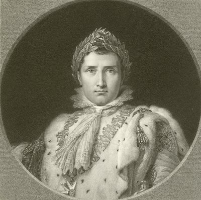 Napoleon tekijältä English School