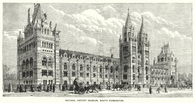 Natural History Museum, South Kensington (kaiverrus) tekijältä English School