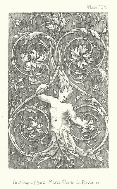 Luonto koristeena: groteski hahmo, Marco Dente da Ravenna (litografia) tekijältä English School