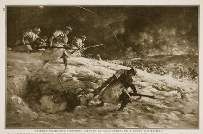Ylämaalaisten omaksumat luonnonsuojeluvärit lumisella taistelukentällä 1914-1919 tekijältä English School