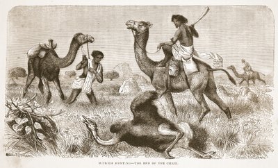Strutsimetsästys – takaa-ajon loppu, kuvitus J. Ewing Richien David Livingstonen elämän ja löytöjen kuvapainoksesta, pub. kirjoittanut A. Fullarton & Co., 1876 tekijältä English School