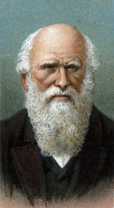 Charles Robert Darwinin (1809-1882) muotokuva - Sarjasta "" Miesten johtajat"" - Kromolitografia - Englantilainen koulu, 1900-luku - tekijältä English School