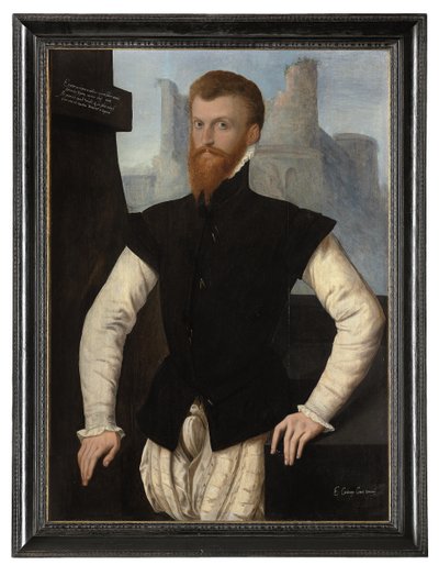 Edward Courtenayn, Devonin 1. jaarlin, muotokuva, n. 1555 tekijältä English School