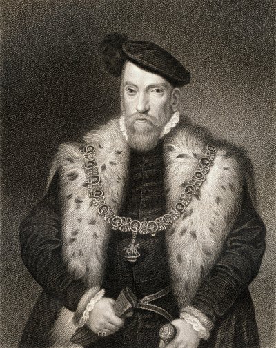 Henry Fitzalanin, Arundelin 12. jaarlin, muotokuva Lodges British Portraitsista, 1823 tekijältä English School