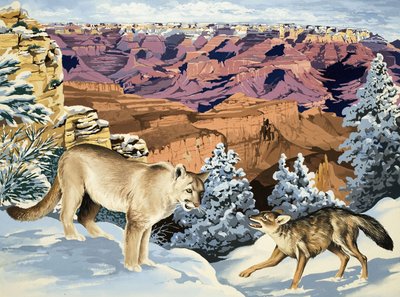 Puma ja Coyote tapaavat Grand Canyonin kansallispuistossa tekijältä English School