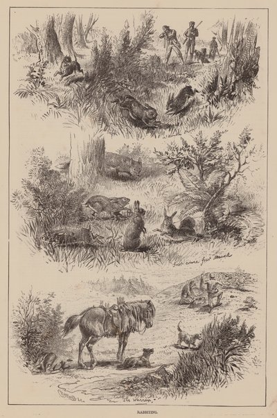 Jänis (kaiverrus) tekijältä English School