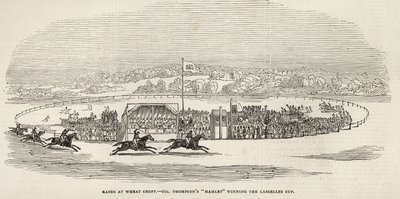 Kisat Wheat Croftissa: Eversti Thompsonin "Hamlet" voitti Lascelles Cupin, "The Illustrated London News", 15. marraskuuta 1845 tekijältä English School