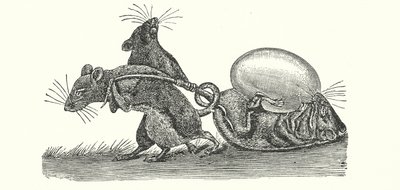 Rotat kantavat munan kotiin (kaiverrus) tekijältä English School