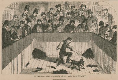 Ratting at the Graham Arms (kaiverrus) (kaiverrus) tekijältä English School