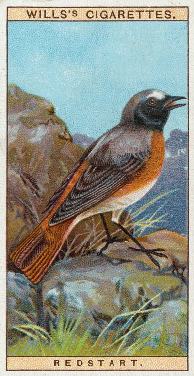 Redstart tekijältä English School