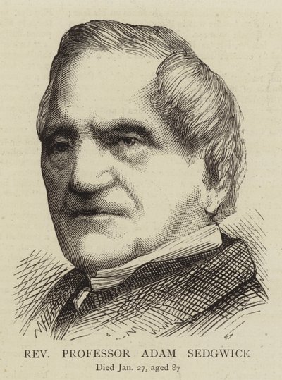Pastori professori Adam Sedgwick (kaiverrus). tekijältä English School