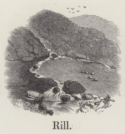 Rill (kaiverrus) tekijältä English School
