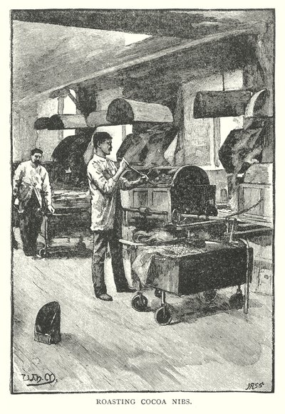 Kaakaonippujen paahtaminen (kaiverrus) tekijältä English School