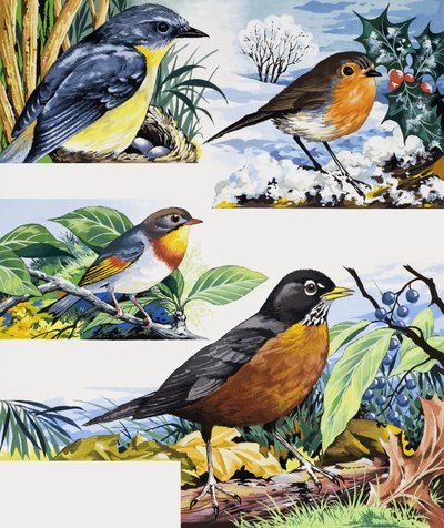 Robins tekijältä English School