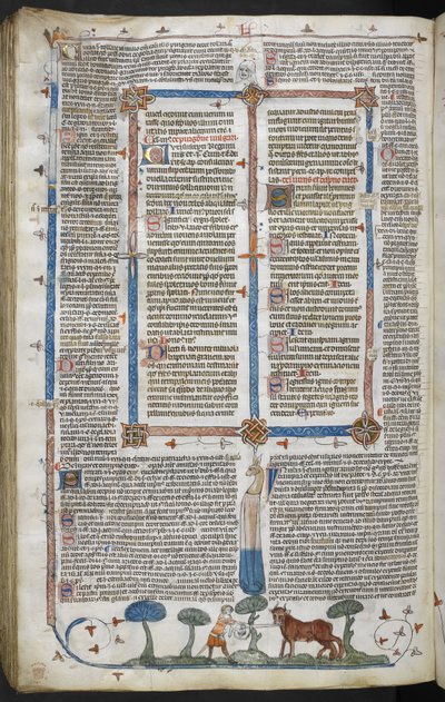 Royal 10 E IV fol. 294v Mies hyökkää härän kimppuun, Smithfield Decretals (Decretals of Gregory IX) n. 1340 (vellum) tekijältä English School