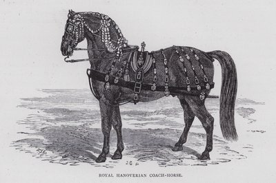 Royal Hanoverian Coach-Horse (kaiverrus) tekijältä English School
