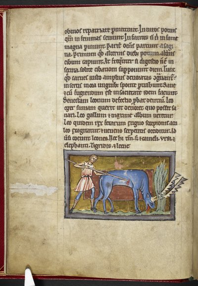 Royal MS 12 C XIX, f.7v Antelope, 