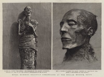Kuninkaalliset muumiot äskettäin purettuina Boulak-museossa Egyptissä (kaiverrus) tekijältä English School